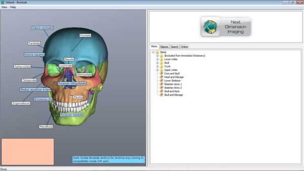 BoneLab - Image 2