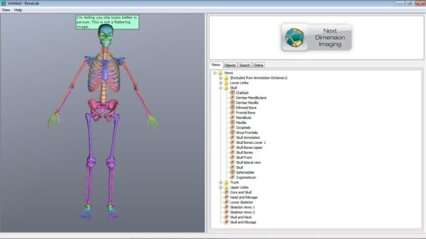 BoneLab - Image 3